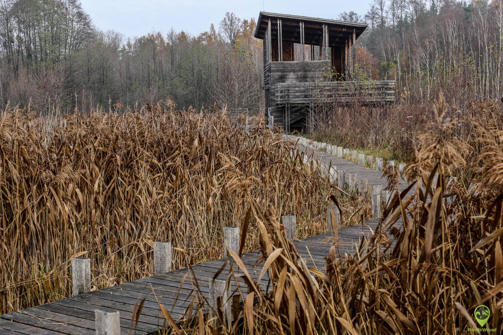 Kampinoski Park Narodowy Atrakcje I Szlaki Co Warto Zobaczy