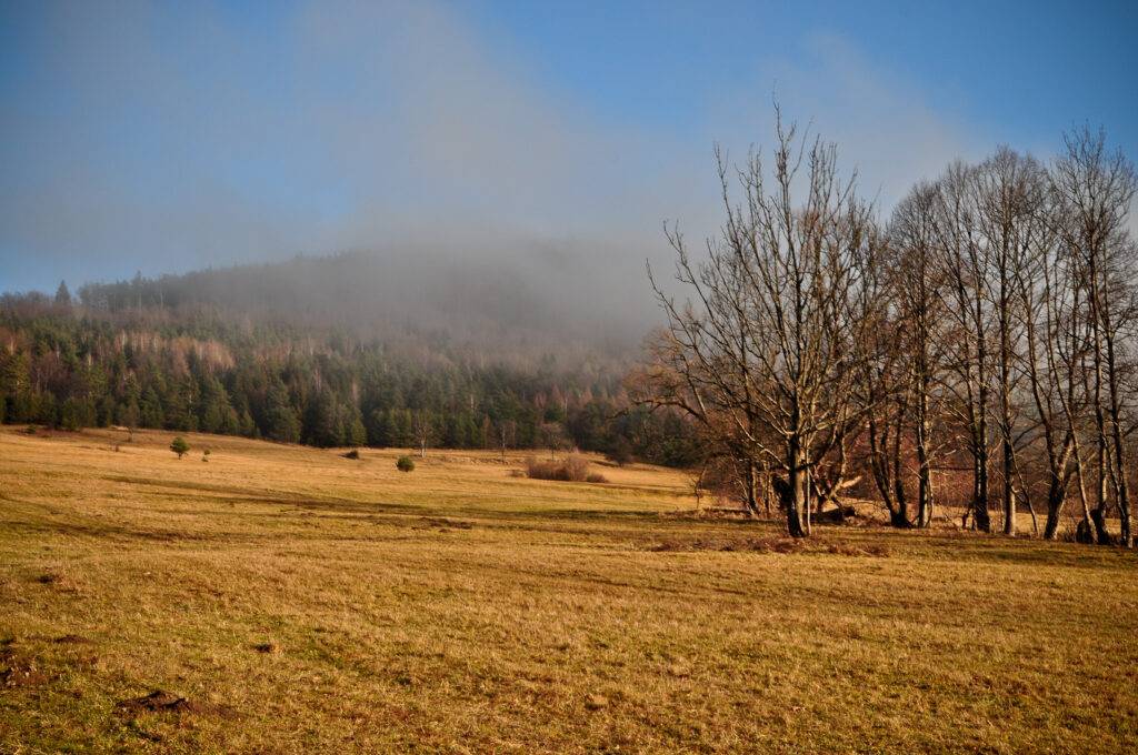 Beskid Niski Bieliczna