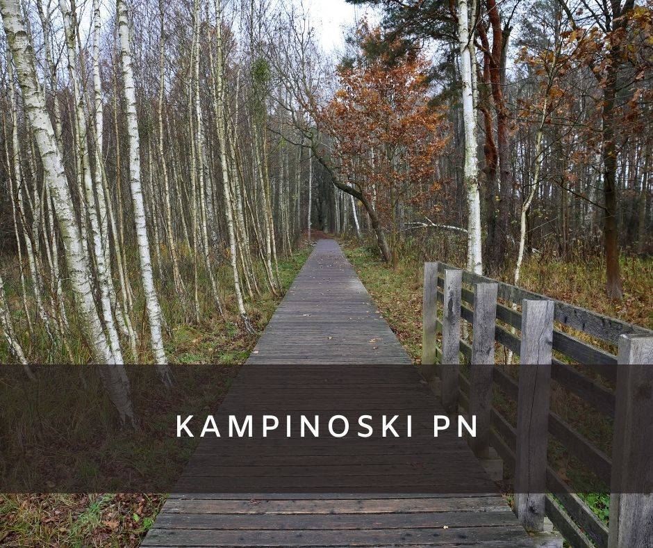 Kampinoski Park Narodowy 7 Atrakcji Co Warto Zobaczy kampinoski-park-narodowy-7-atrakcji-co-warto-zobaczy