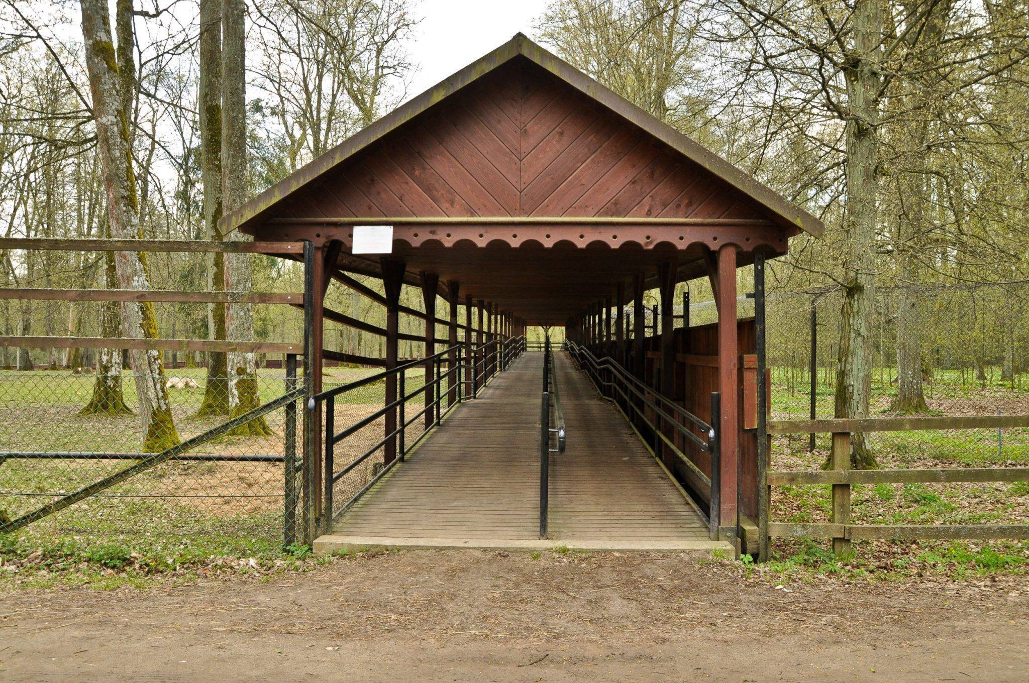 Rezerwat Pokazowy ubr w Bia owieski Park Narodowy rezerwat-pokazowy-ubr-w-bia-owieski-park-narodowy