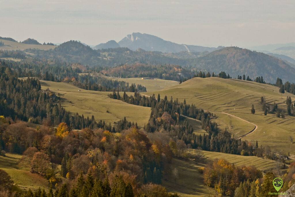 rezerwat Biaลa Woda w Pieninach, rozlegลe ลฤ
ki i Trzy Korony w tle