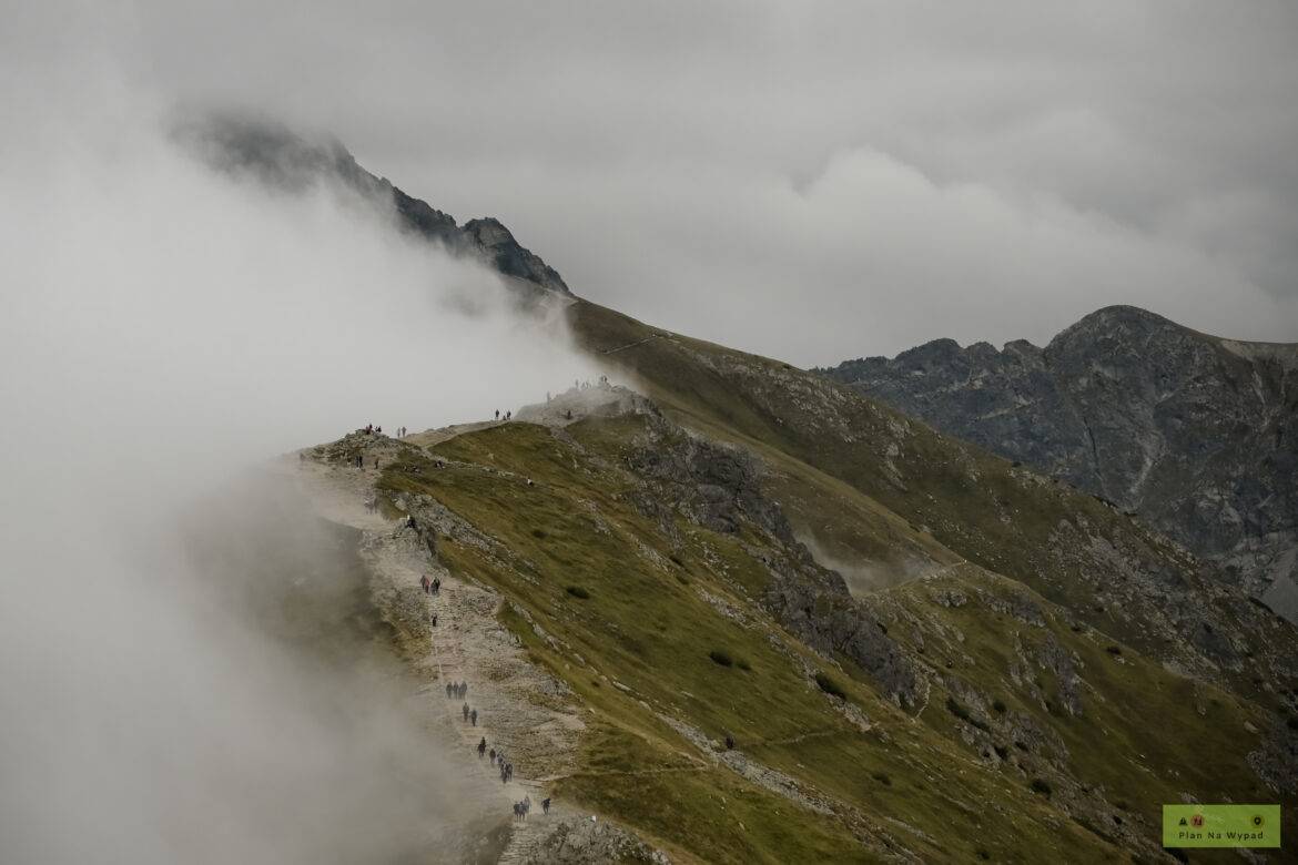 Goryczkowa Czuba i Suche Czuby: widokowy szlak, mapa