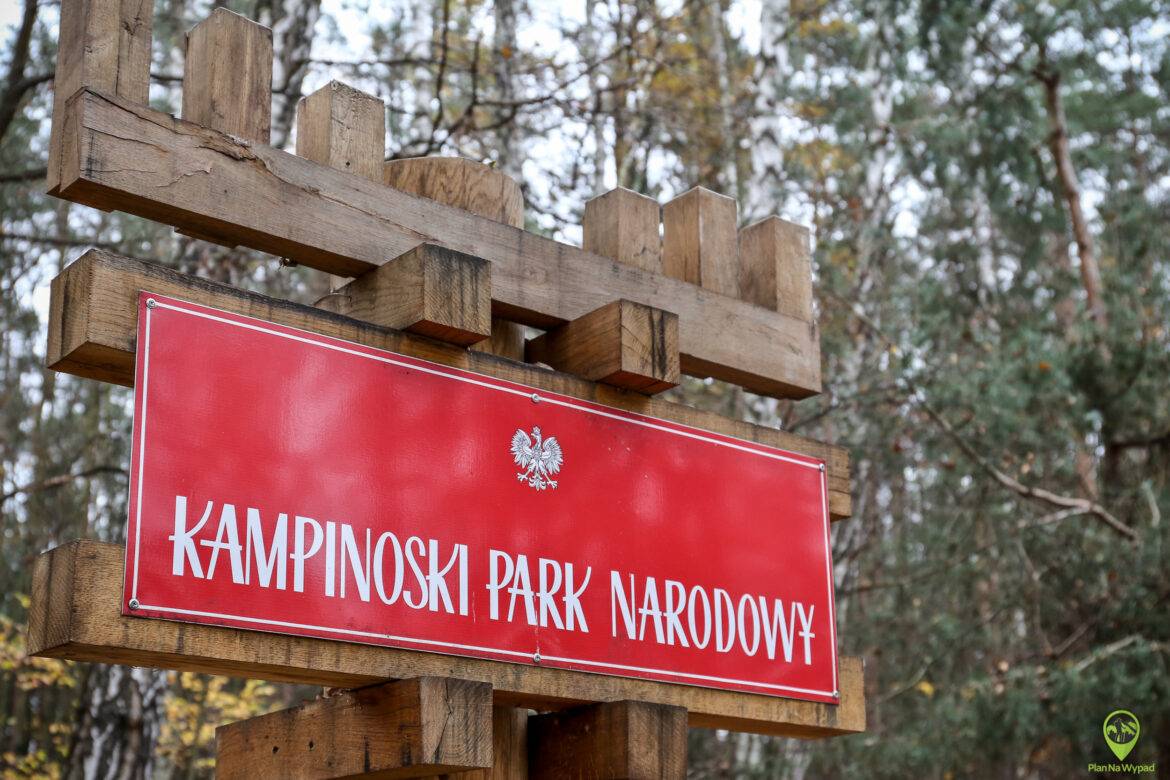 Kampinoski Park Narodowy: 7 atrakcji, co warto zobaczyć?