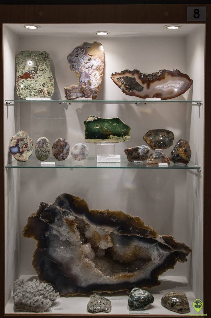 Muzeum Minerałów i Skamieniałości w Świętej Katarzynie