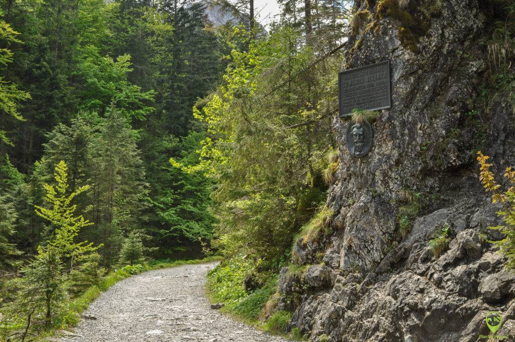 szlak w Tatrach