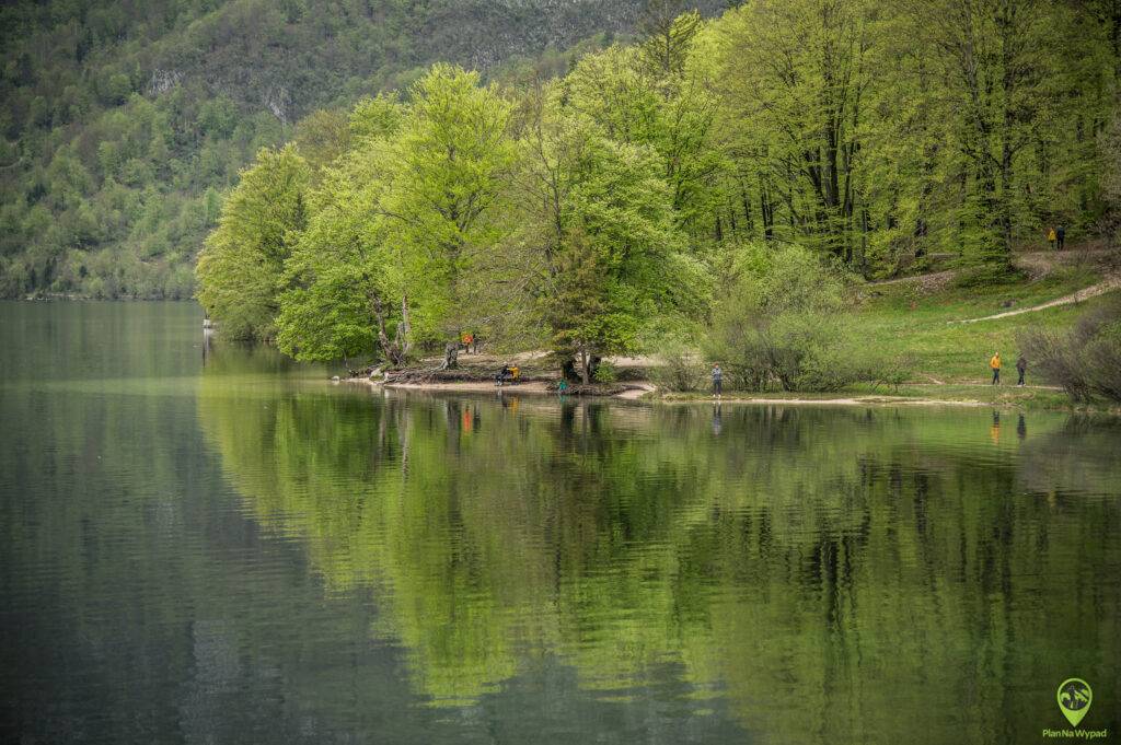 jezioro Bohinj