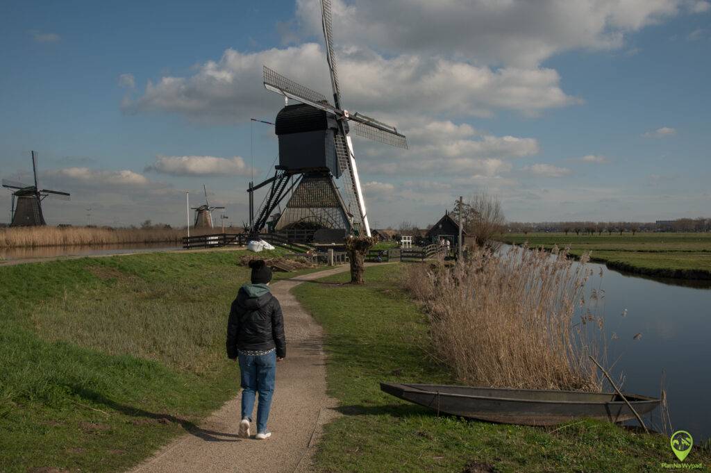 Holandia wiatraki