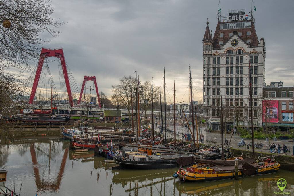 Rotterdam atrakcje