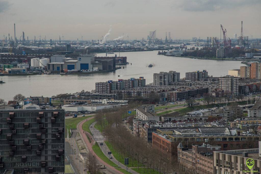 Rotterdam atrakcje