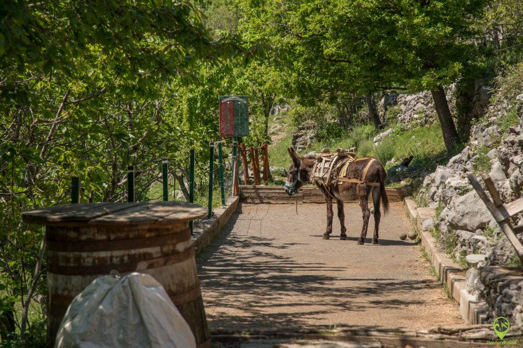 Paklenica Chorwacja