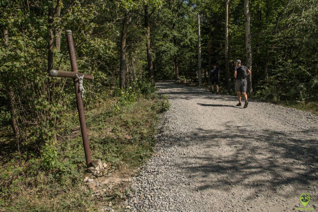 Łysula wieża widokowa