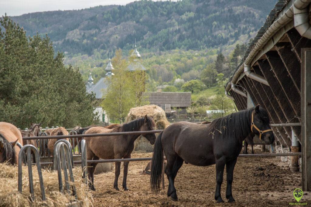 Beskid Niski atrakcje