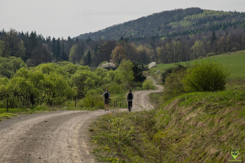 Regietów