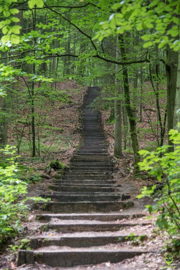 Roztoczański Park Narodowy