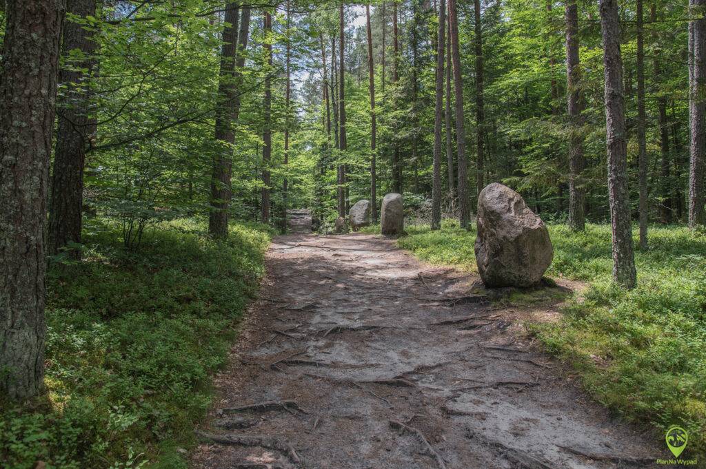 Roztoczański Park Narodowy