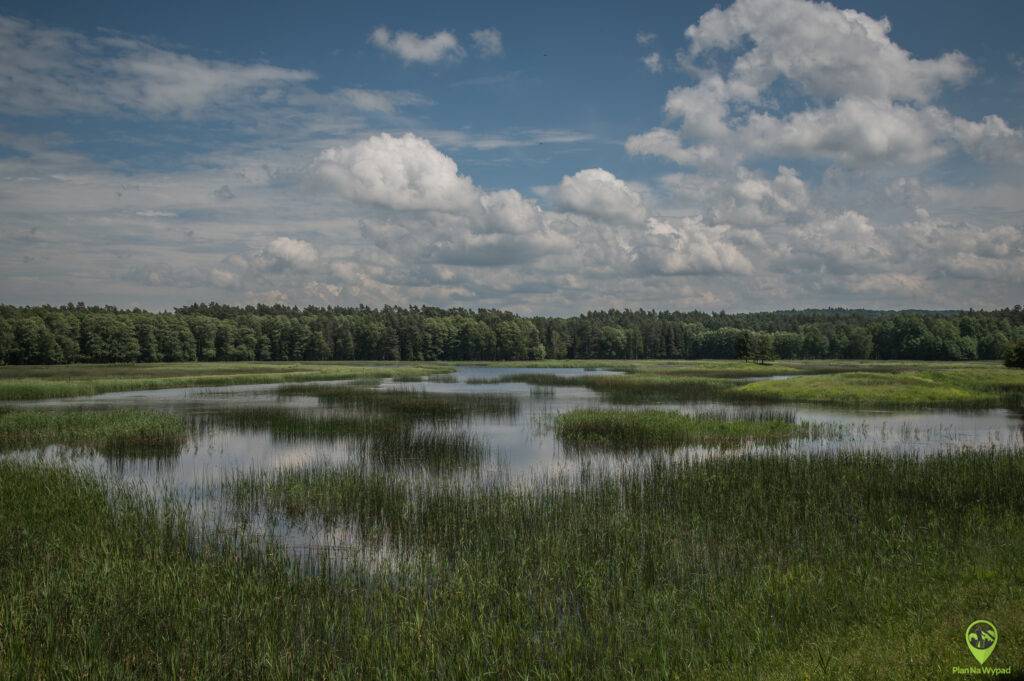 Roztoczański Park Narodowy