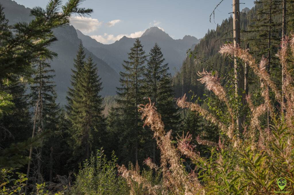 Morskie Oko trasa