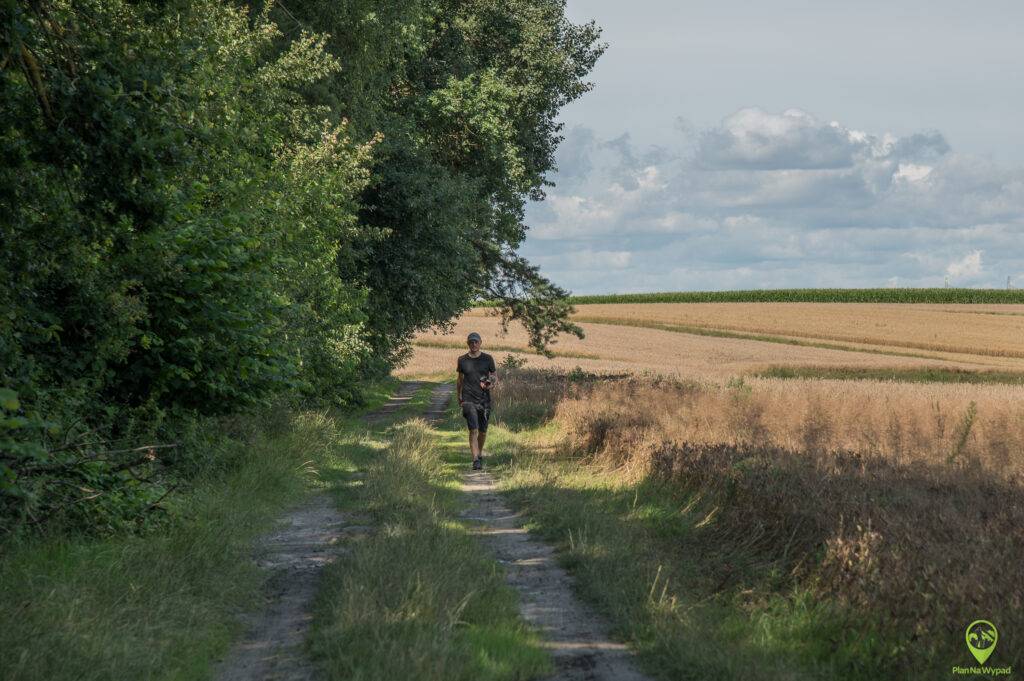 Wielkopolski Park Narodowy atrakcje