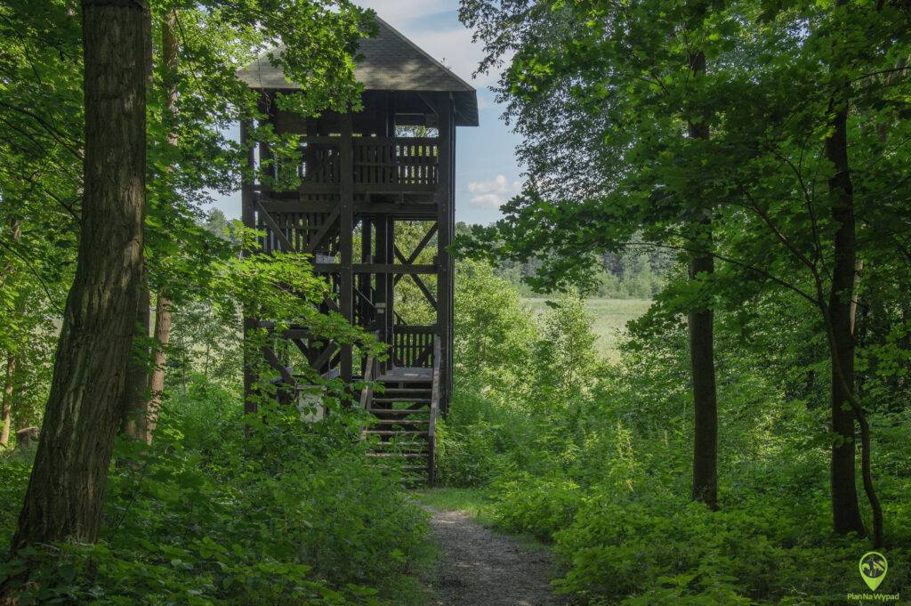 Wielkopolski Park Narodowy atrakcje