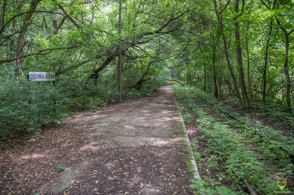 Wielkopolski Park Narodowy atrakcje