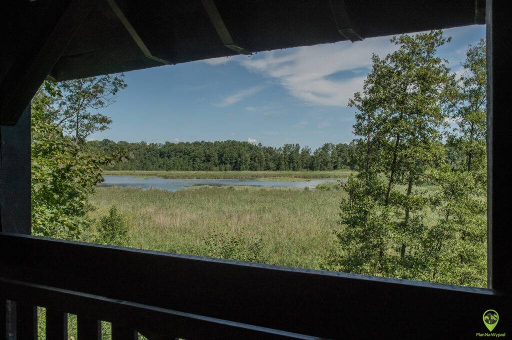 Wielkopolski Park Narodowy atrakcje