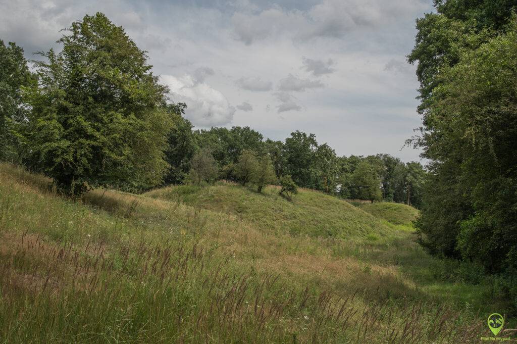 Wielkopolski Park Narodowy atrakcje