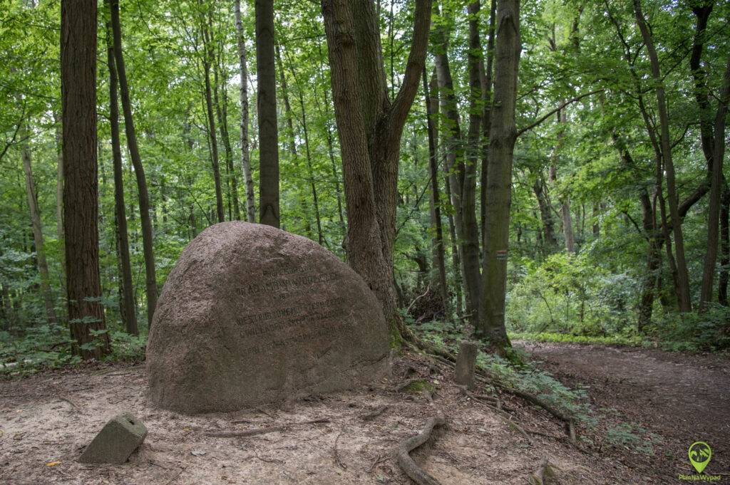 Wielkopolski Park Narodowy atrakcje