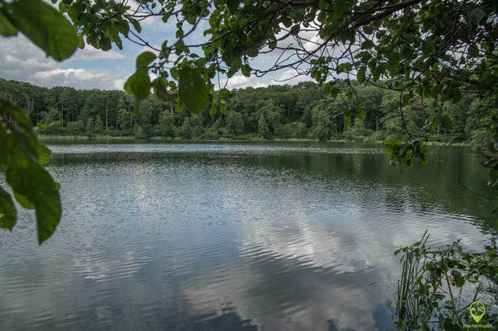 Wielkopolski Park Narodowy atrakcje