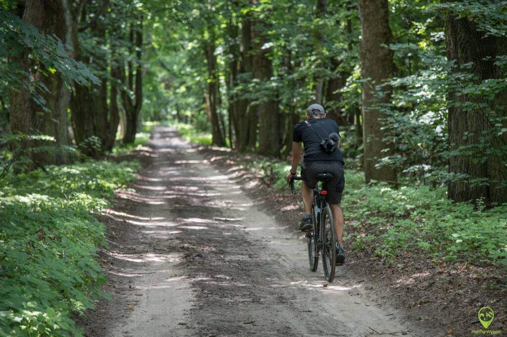 Wielkopolski Park Narodowy atrakcje