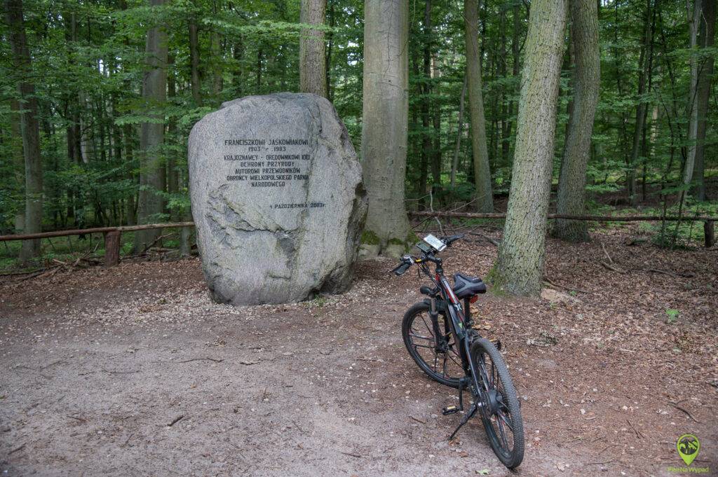 Wielkopolski Park Narodowy atrakcje