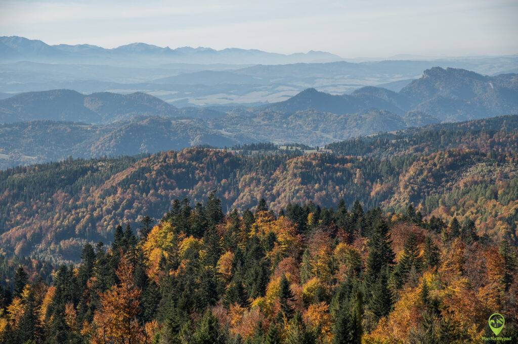 Beskid Sądecki