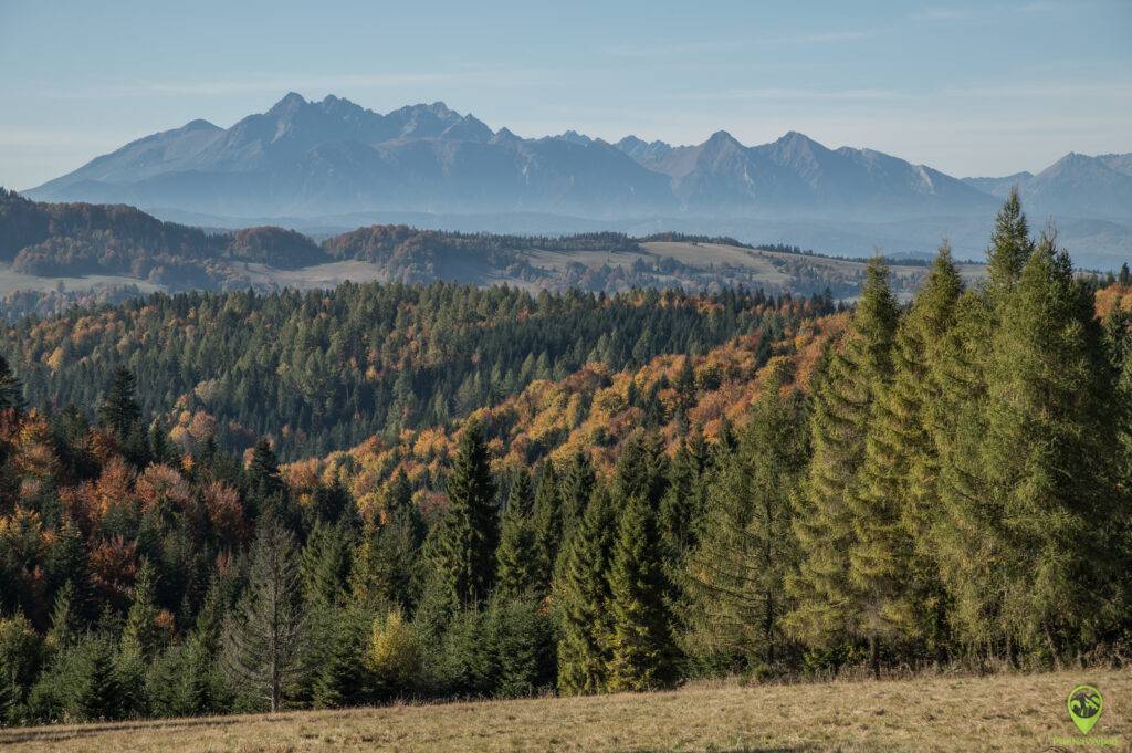 Beskid Sądecki