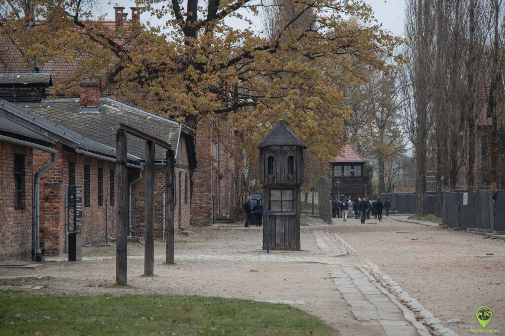 Auschwitz zwiedzanie