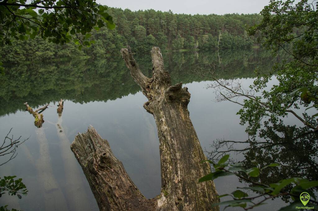 Bory Tucholskie atrakcje