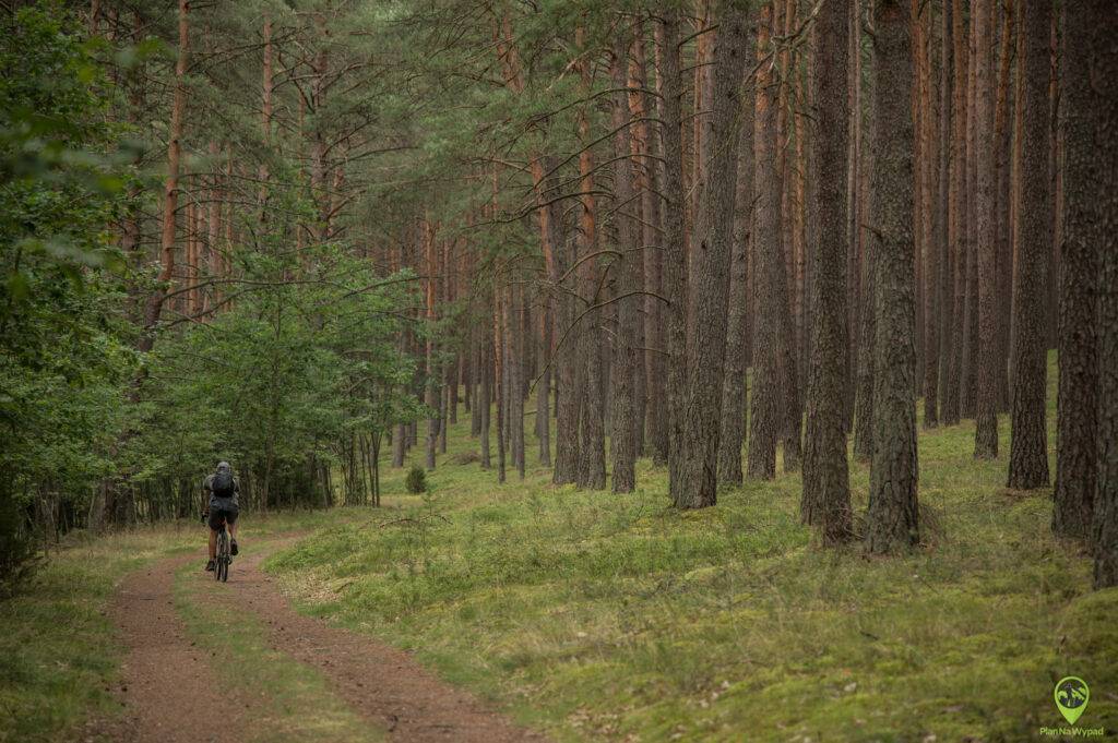 Bory Tucholskie atrakcje