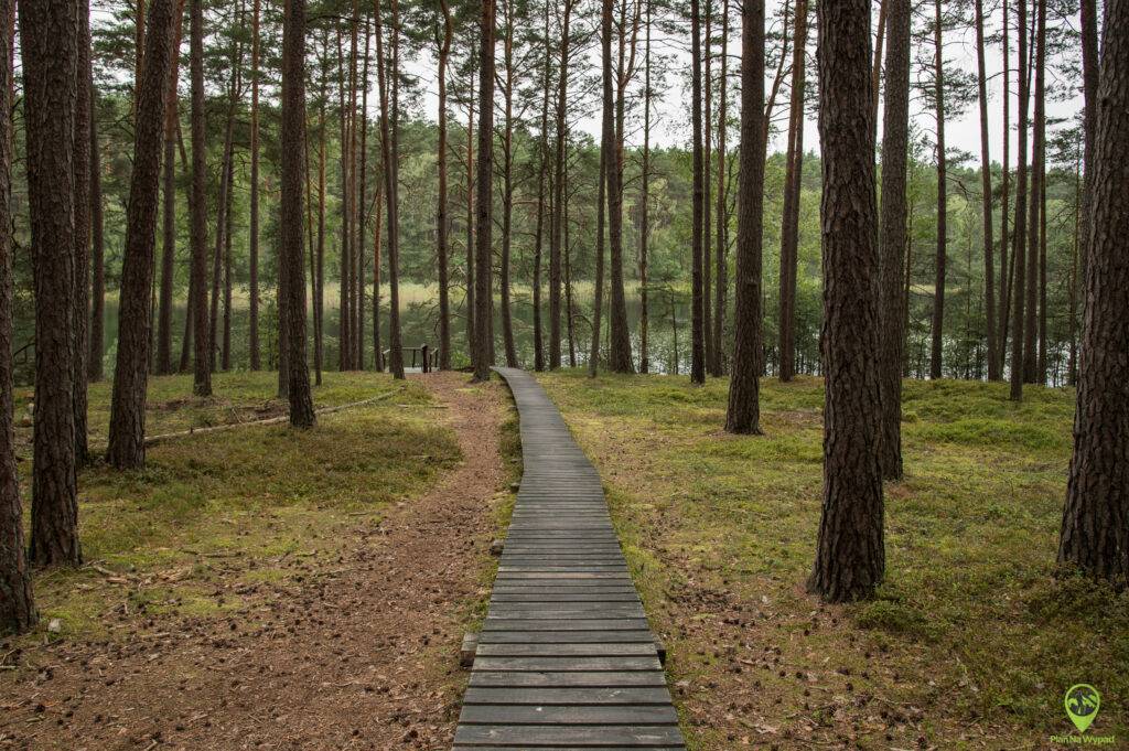 Bory Tucholskie atrakcje