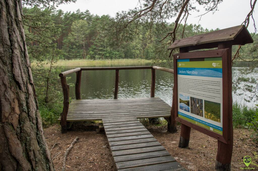 Bory Tucholskie atrakcje