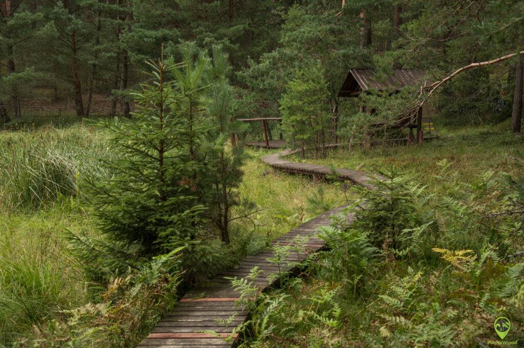 Bory Tucholskie atrakcje