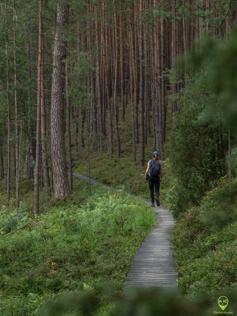 Bory Tucholskie atrakcje