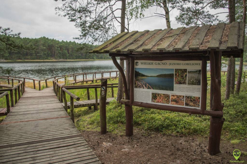 Bory Tucholskie atrakcje