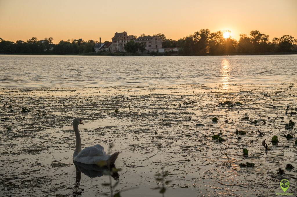 Ełk atrakcje zamek