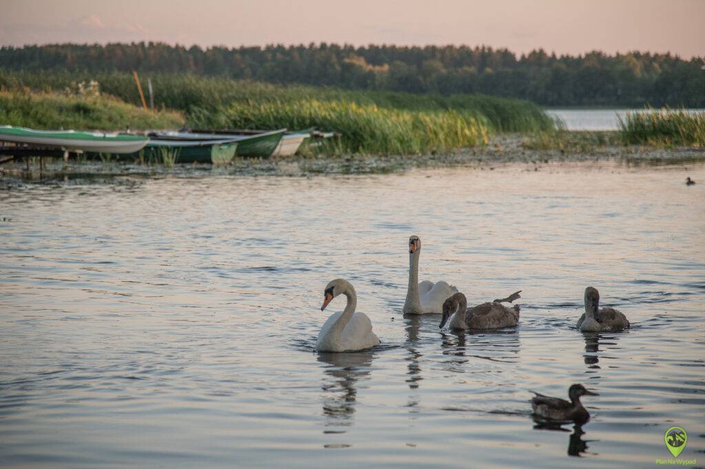 Ełk atrakcje