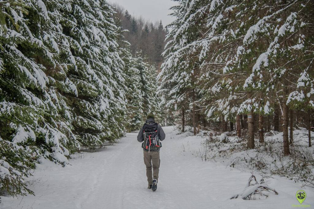 Beskid Sądecki zima