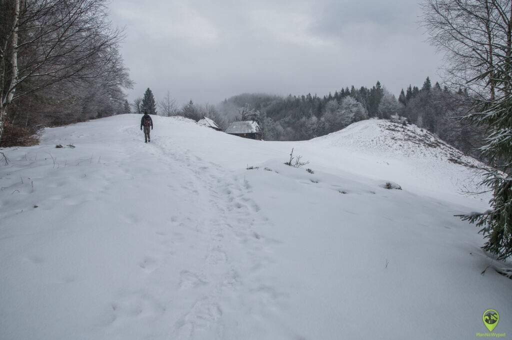 Beskid Sądecki zima