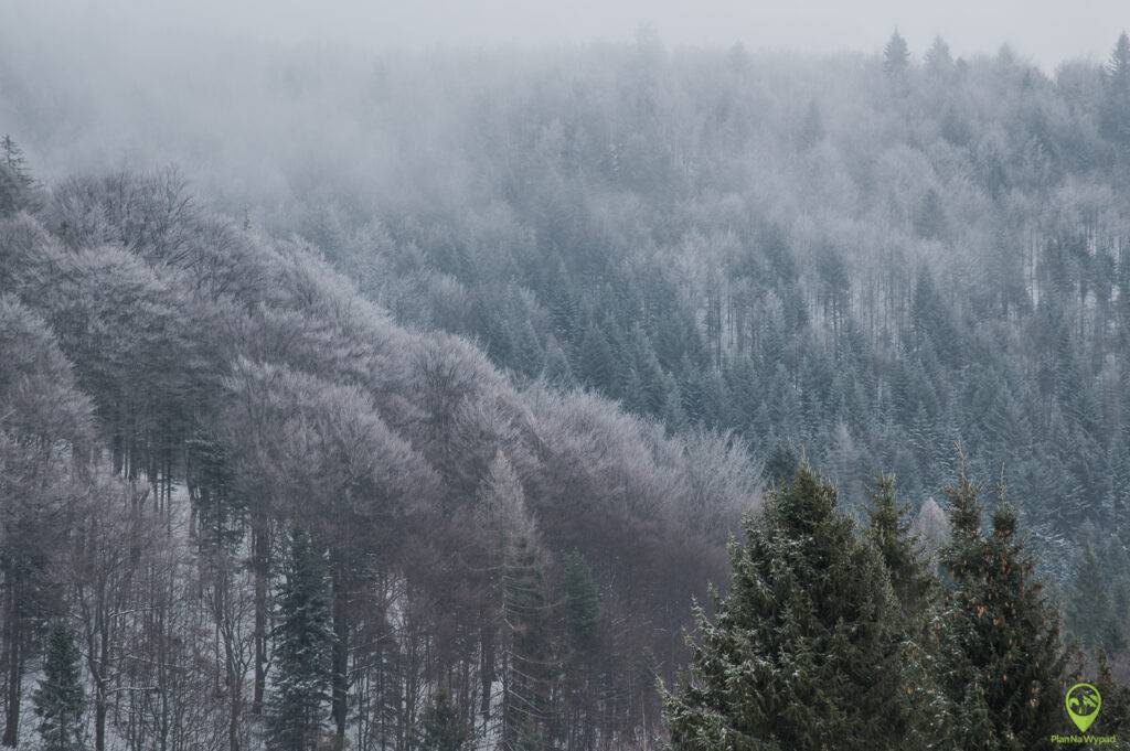 Beskid Sądecki zima