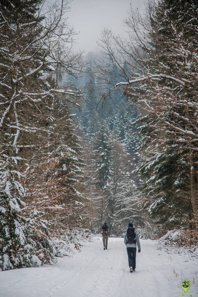 Beskid Sądecki zima