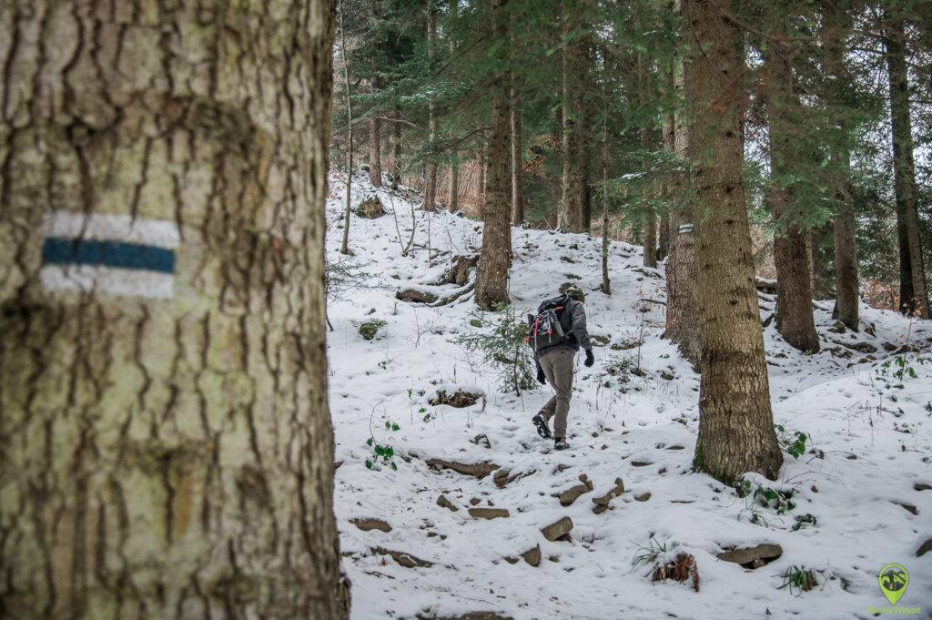 Beskid Sądecki zima