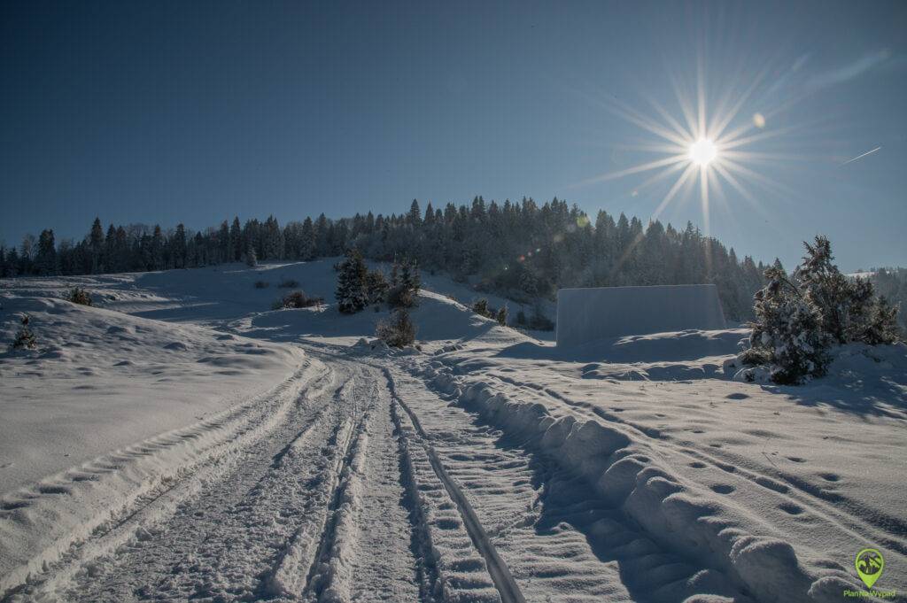 szlak na Wysoki Wierch