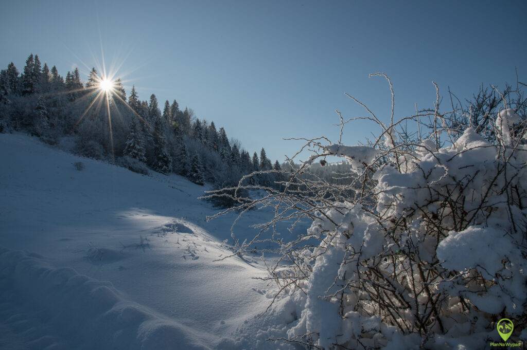 szlak na Wysoki Wierch