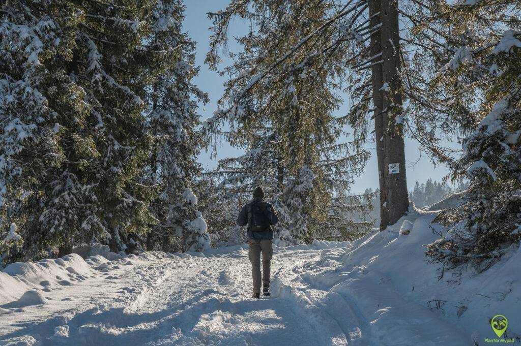 szlak na Wysoki Wierch